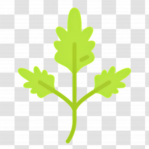 Parsley - Green Leaf Herb Icon Illustration Transparent PNG