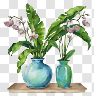 Cartoon - Decorative Vases With Green Plants Illustration Transparent PNG