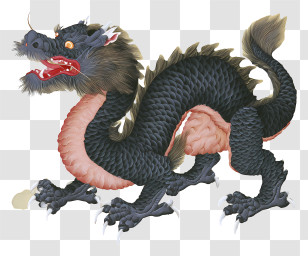 Chinese Dragon - Black Oriental Dragon Illustration Transparent PNG