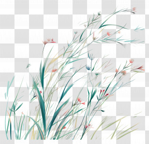 Grass And Flowers - Delicate Grass And Flowers Illustration Transparent PNG
