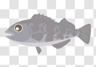 Icon - Gray Fish Cartoon Illustration Transparent PNG