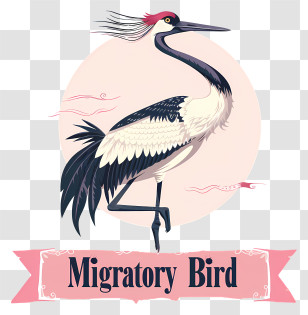 World Migratory Bird Day - Migratory Bird Illustration Transparent PNG