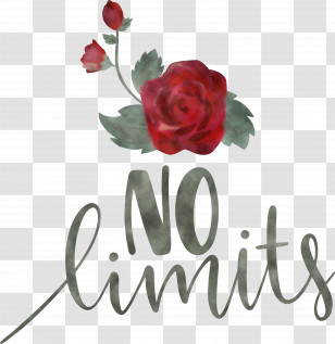 No Limits Dream Future Transparent PNG