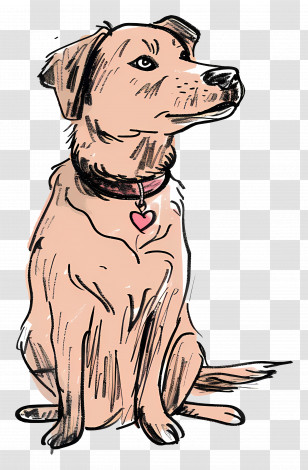 Cartoon Dog - Adorable Dog Sketch Illustration Transparent PNG