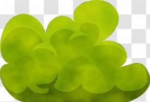 Green Leaf Watercolor - Plant - Petal Shamrock Transparent PNG