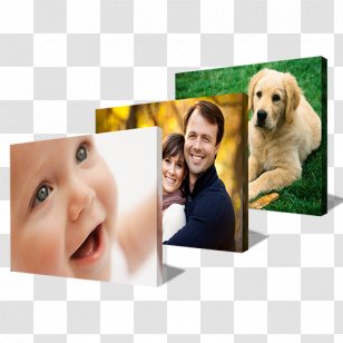 Paper Digital Printing Canvas Print - Dog Transparent PNG
