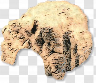 Rock Background - Jaw - Stool Table Transparent PNG