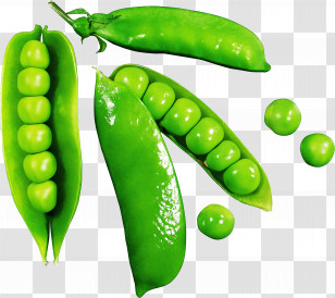 Legume Pea Natural Foods Green Plant Transparent PNG