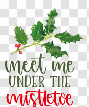 Meet Me Under The Mistletoe Mistletoe Transparent PNG