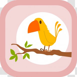 Clip Art - Wing - Birds Transparent PNG