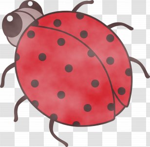 Product Lady Bird - Insect - Coin Purse Transparent PNG