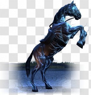 Stallion Rein Mustang Horse Harnesses Halter - Supplies Transparent PNG