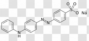 Chemistry Enzyme Inhibitor PTK2 Chemical Substance Protein Kinase - Technology - Monochrome Transparent PNG