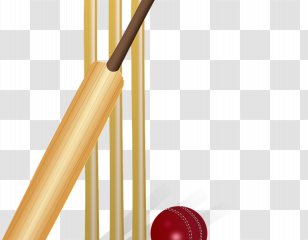 Indian Premier League India National Cricket Team World Cup Balls Transparent PNG