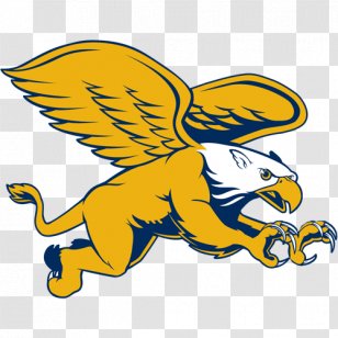 Canisius College Golden Griffins Men's Basketball Women's Ice Hockey MAAC Tournament - Beak Transparent PNG