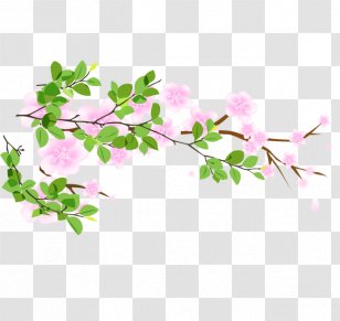 Green Poster Advertising - Branch - Floral Decorative Elements Transparent PNG