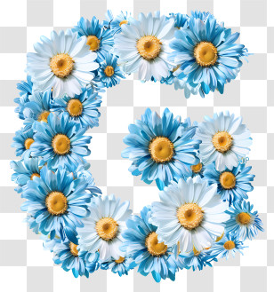 Letter G - Letter C Made Of Daisies Transparent PNG