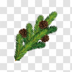 Pine Christmas Tree Branch - Nut - Squirrel Pineal Transparent PNG