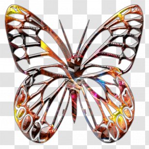 Monarch Butterfly Borboleta Pieridae Moth Transparent PNG