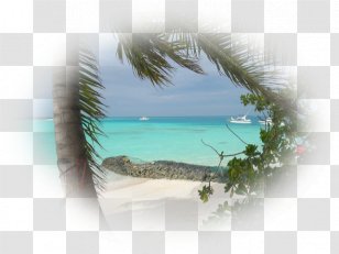 Beach Image Picture Frames Text Sun Tanning - Photography - Poster Transparent PNG