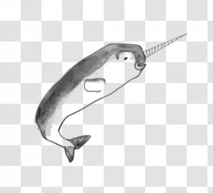 Narwhal Toothed Whale Drawing Blanket Sketch - Beluga Transparent PNG