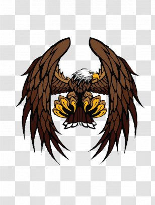 Bald Eagle Illustration - Bird Of Prey - Flying Transparent PNG
