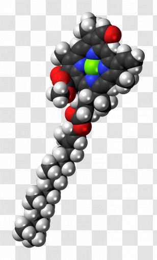 Chlorophyll A B Molecule Photosynthesis - Art Transparent PNG