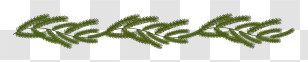 Green Fern Leaf - Green Pine Branch Transparent PNG