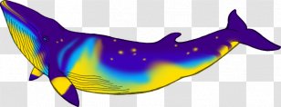 Dolphin February 7 Animal Beluga Whale - Minke Transparent PNG