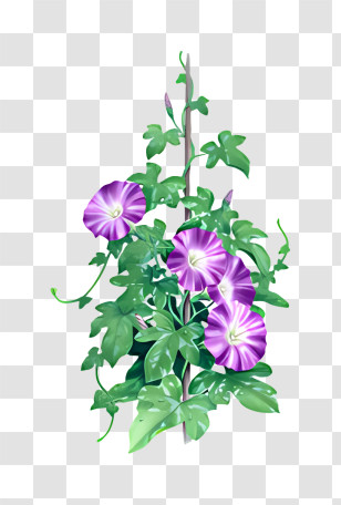Flower - Purple Flowers On Vine Transparent PNG