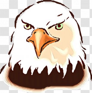 Bird Eagle Head Clip Art Beak - Bald - Mouth Of Prey Transparent PNG