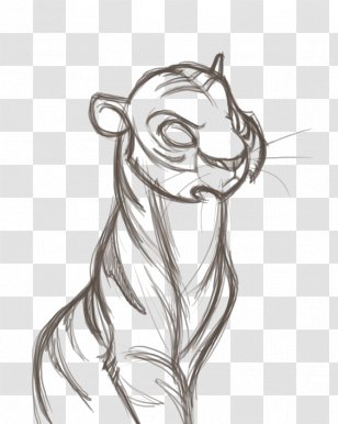 Visual Arts Drawing Cartoon Sketch - Vertebrate - Tiger Transparent PNG