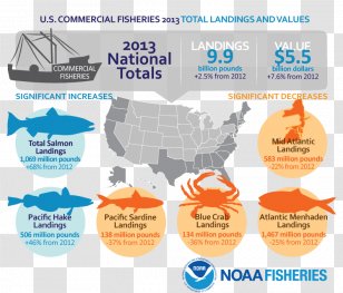 United States Commercial Fishing Fishery National Marine Fisheries Service - Aquaculture Transparent PNG