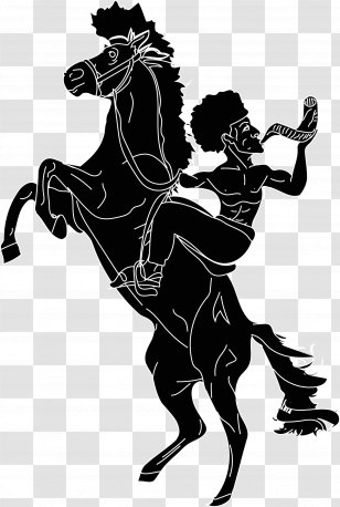 Mustang Pony Stallion Wild Horse Illustration Transparent PNG
