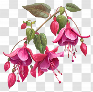 Pink Flowers - Beautiful Pink Flowers On Branch Transparent PNG