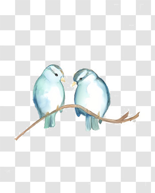 Birds - Two Blue Birds Perched Illustration Transparent PNG
