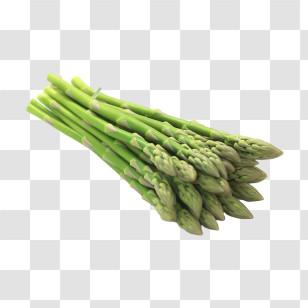 Asparagus - Fresh Bundle Of Green Asparagus Spears Transparent PNG