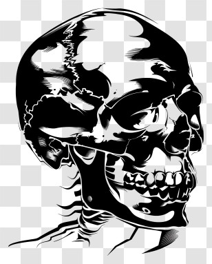 Skull - Black And White Skull Profile Illustration Transparent PNG