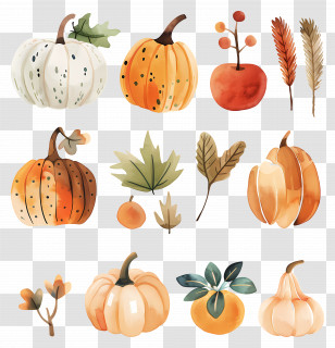 Harvest Season - Pumpkins And Autumn Elements Illustration Transparent PNG