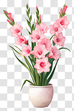Gladiolus - Illustration Of Pink Gladiolus Flowers In Pot Transparent PNG