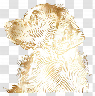 Gold Dog - Golden Dog Profile Illustration Transparent PNG
