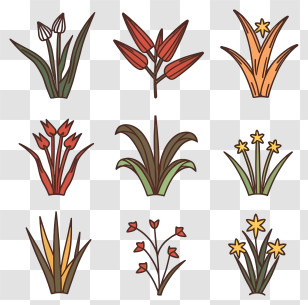 Cartoon - Colorful Flowers In Doodle Style Transparent PNG