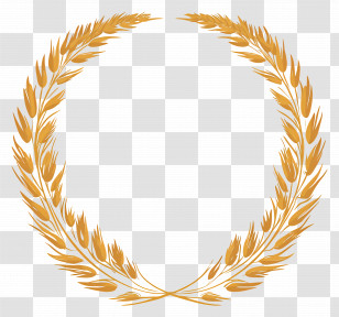 Wheat Frame - Golden Wheat Laurel Wreath Design Transparent PNG