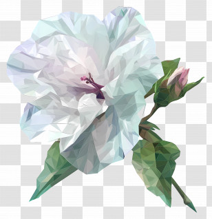 Digital Flower Art - Elegant White Flower With Bud Transparent PNG