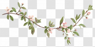 Branch With Flower - Blossoming Flower Branch Illustration Transparent PNG
