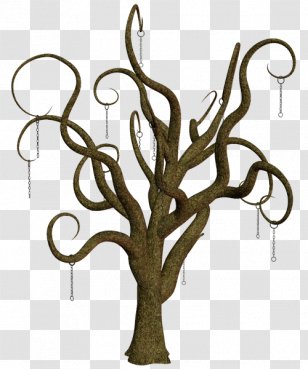 Twig Tree Leaf Snag Plant Stem Transparent PNG
