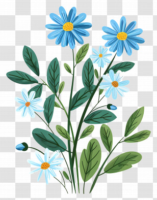 Daisy Flowers - Beautiful Blue Daisy Flowers Illustration Transparent PNG