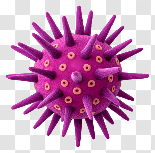 Purple Sea Urchin - Purple Spiky Virus Illustration Transparent PNG