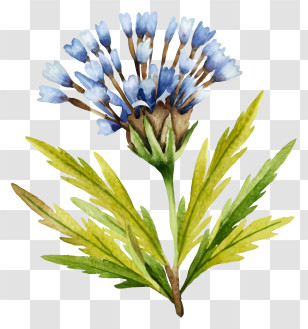 Watercolor Painting - Blue Watercolor Flower Transparent PNG
