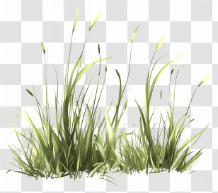 Grass Animated - Bright Green Grass For Spring Gardens Transparent PNG